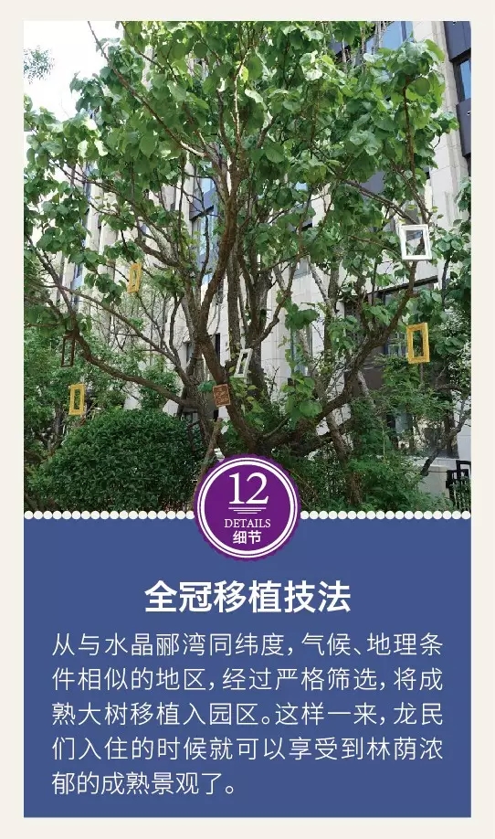 龍湖景觀設(shè)計的12個驚艷的細(xì)節(jié)