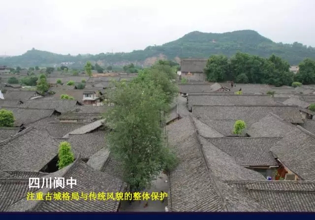 陽建強(qiáng)：基于城市發(fā)展整體框架下的歷史城市保護(hù)與更新