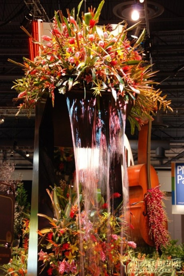 走近美國(guó)費(fèi)城花展