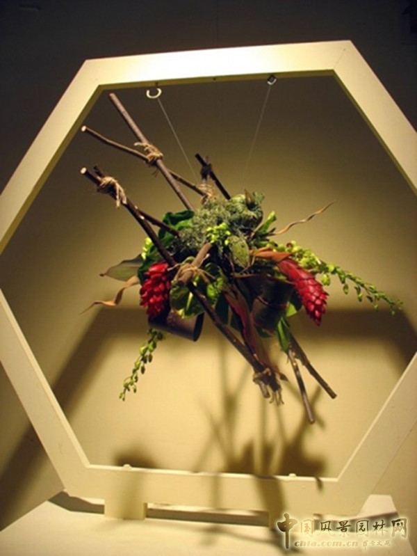 走近美國費(fèi)城花展