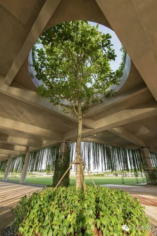 馬來西亞加里斯建筑師的弧形景觀設計