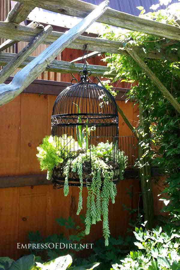 低成本DIY屬于自己的小花園