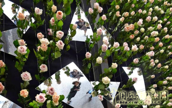 2016英國切爾西花展——歷數那些有趣的細部設計
