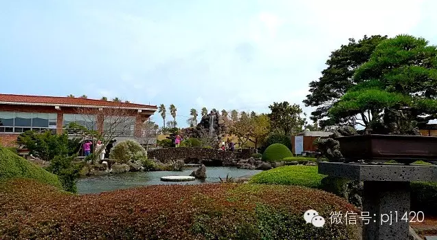 世界最大的盆栽公園——思索之苑