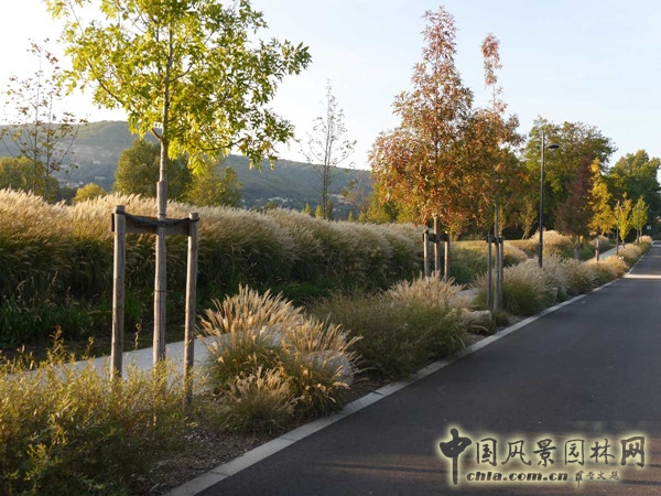 9月9日頭條：里昂索恩河Rochetaillee改造項(xiàng)目賞析