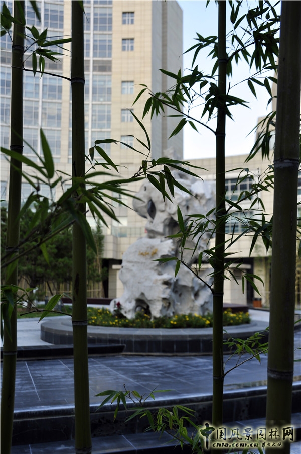 郭麗文：北大國際醫院園林的傳統文化特色