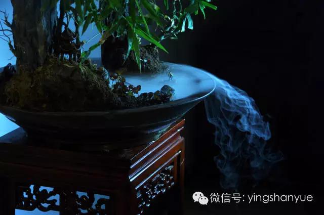 墨爻盆景作品：家鄉(xiāng)美景——《漢上夢溪》