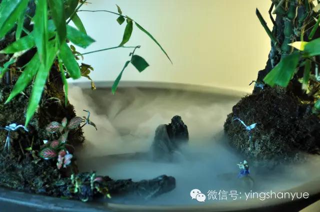 墨爻盆景作品：家鄉(xiāng)美景——《漢上夢溪》