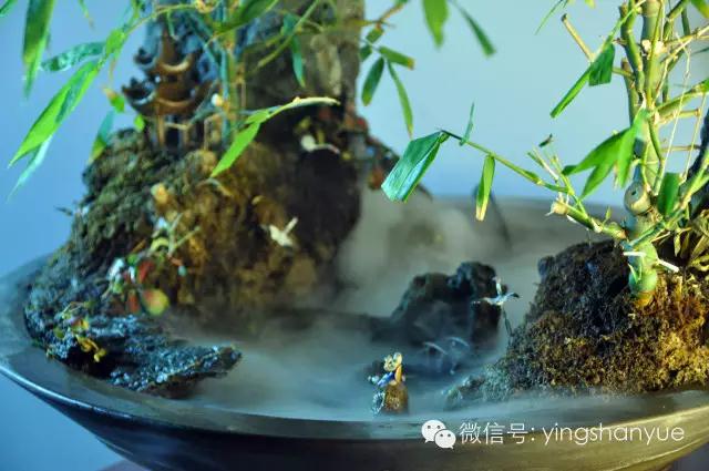墨爻盆景作品：家鄉(xiāng)美景——《漢上夢溪》