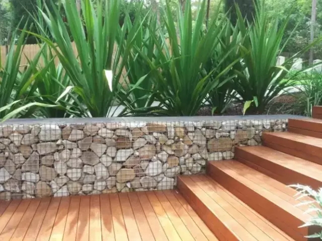 石籠與植物搭配大全