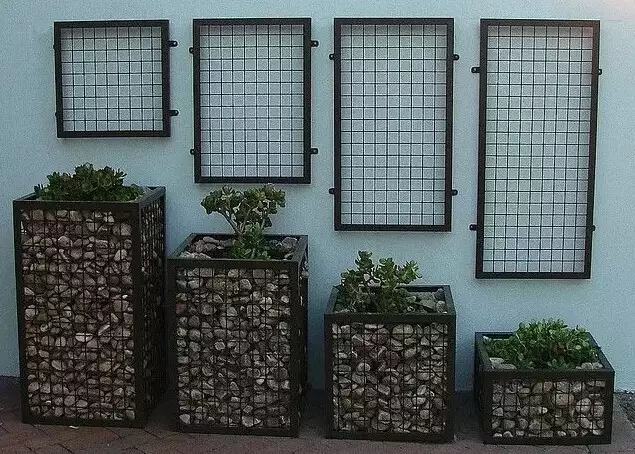 石籠與植物搭配大全