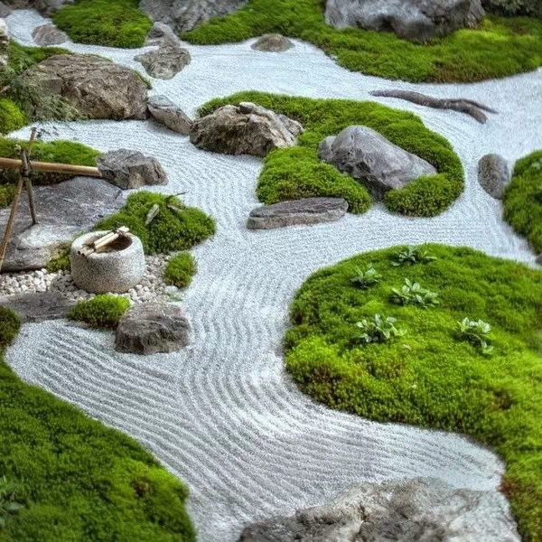 枯山水（上）