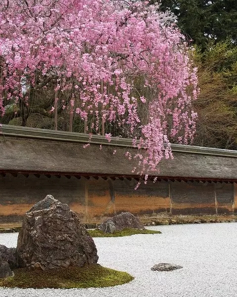 枯山水（中）