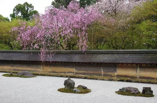 枯山水（中）