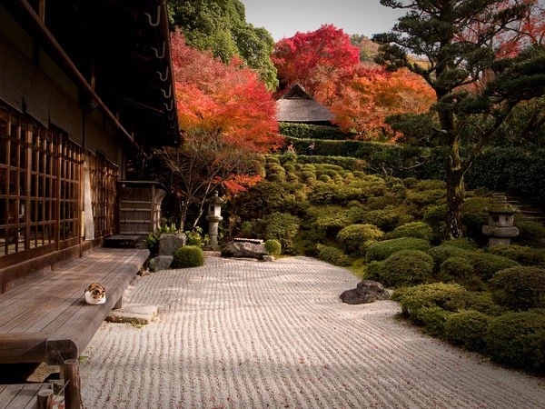 枯山水（中）