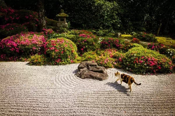 枯山水（中）