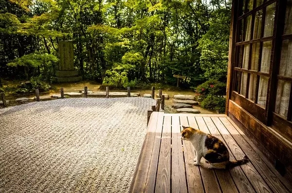 枯山水（中）