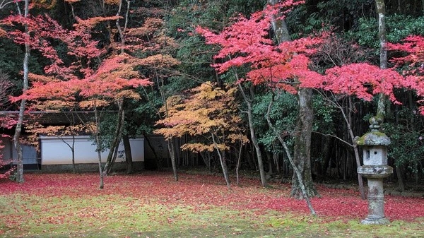 枯山水（下）