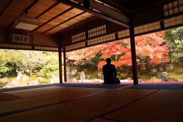 枯山水（下）