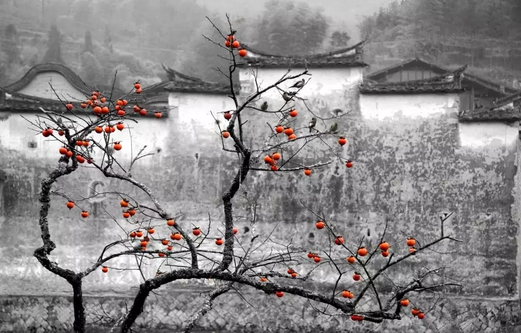 鄉(xiāng)村景觀：要望得見山，看得見水，記得住鄉(xiāng)愁。