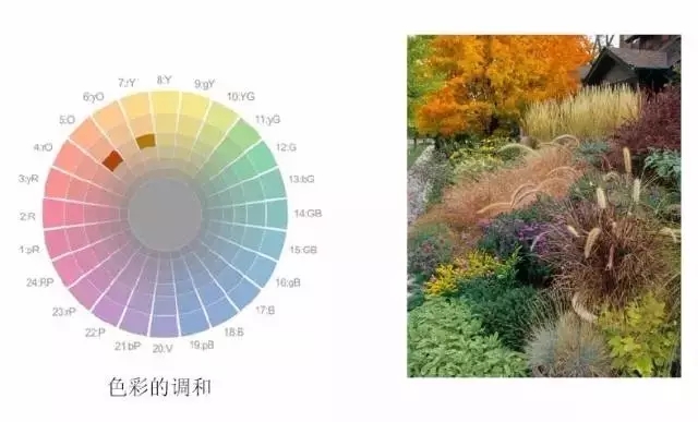 花鏡設(shè)計(jì)方法之色彩構(gòu)成