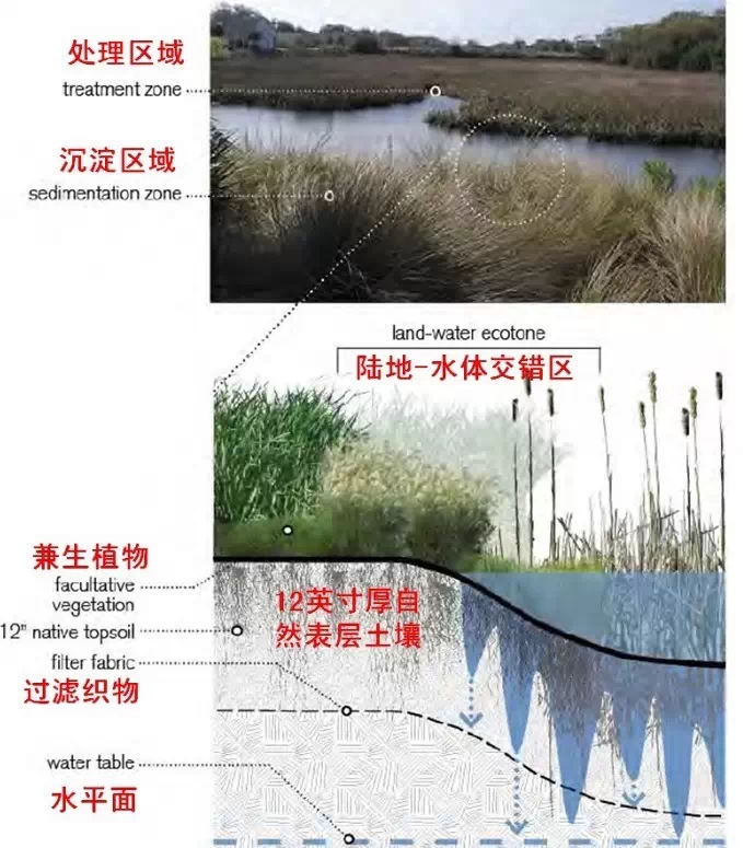 14個景觀細部設計詳解圖
