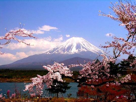 日本人的花道精神：從“死狂”到“物哀”