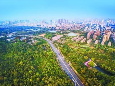 安徽：創(chuàng)建森林城市 構(gòu)建綠意城鎮(zhèn)