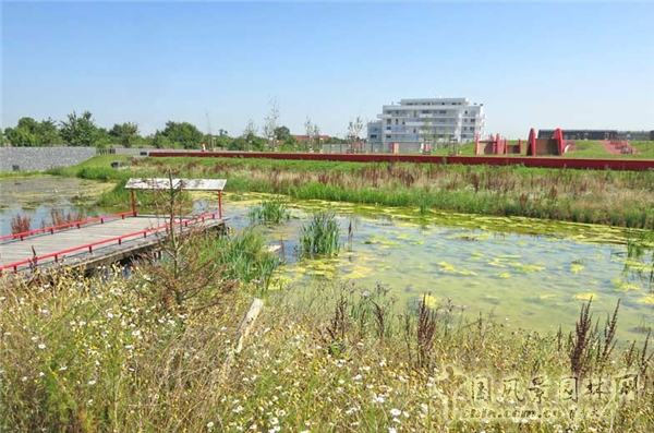 【周二頭條】法國博伊斯—巴多生態公園（多圖賞析）