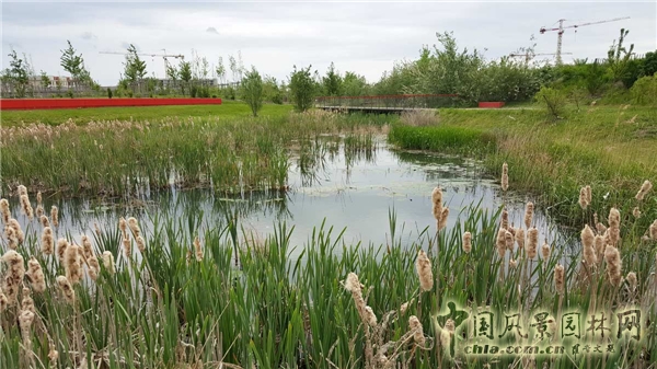 【周二頭條】法國博伊斯—巴多生態(tài)公園（多圖賞析）