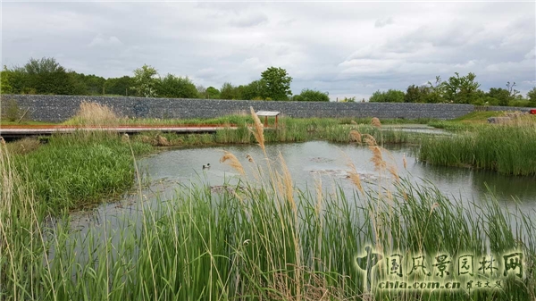 【周二頭條】法國博伊斯—巴多生態(tài)公園（多圖賞析）