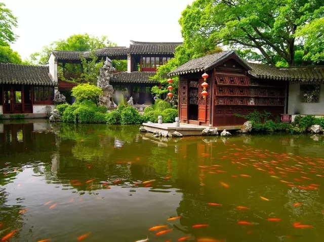 同里古鎮(zhèn)指望這個園子活著——退思園