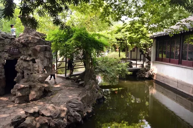 同里古鎮(zhèn)指望這個園子活著——退思園