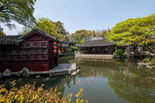 同里古鎮(zhèn)指望這個園子活著——退思園