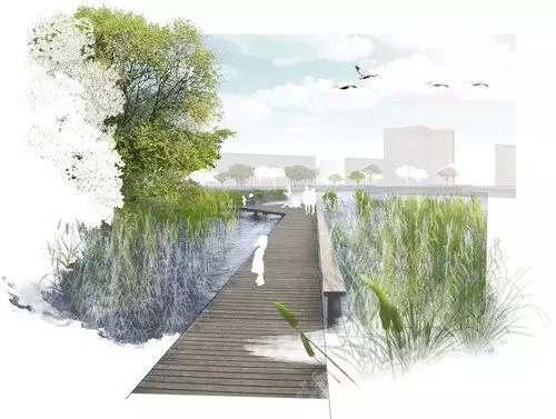 河道景觀植物搭配你知道嗎？