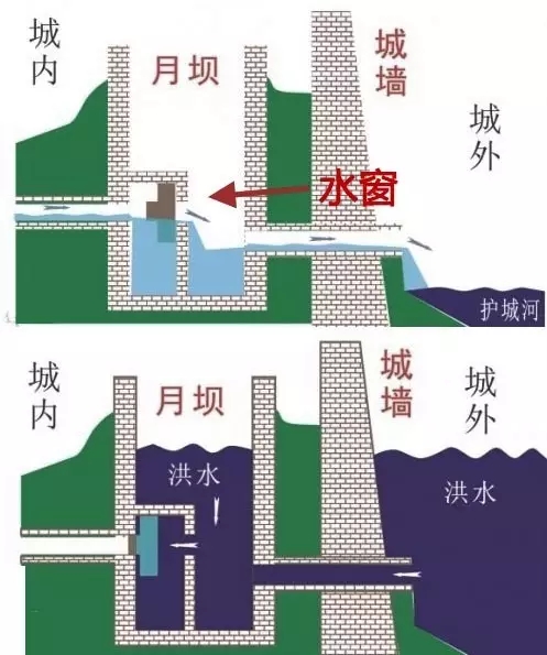 5分鐘讀懂生態智慧