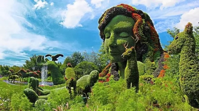 如何讓植物成為兒童活動場地的主角？