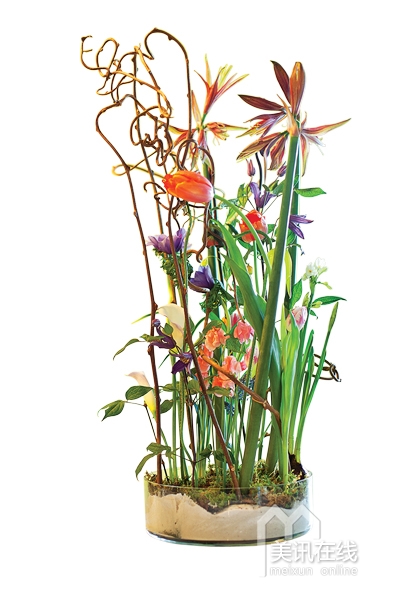 Flower School名師——Rob Plattel