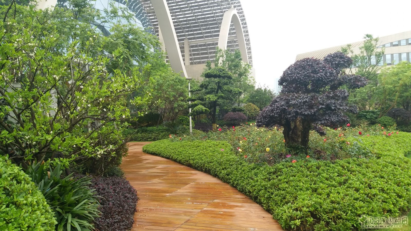 2016園冶杯專業獎參賽項目：杭州國際博覽中心屋面園林綠化工程