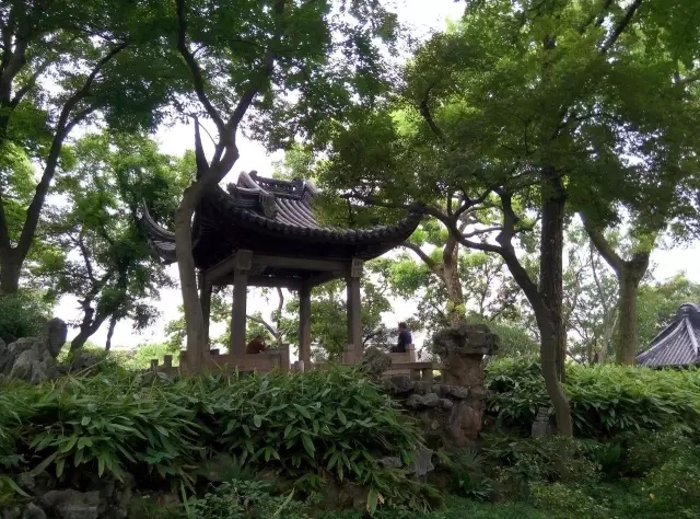 滄浪亭——內外皆園