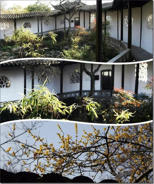 滄浪亭——內(nèi)外皆園