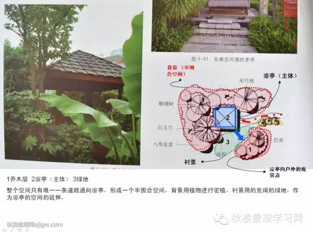 不得不看的植物營造實物圖解析