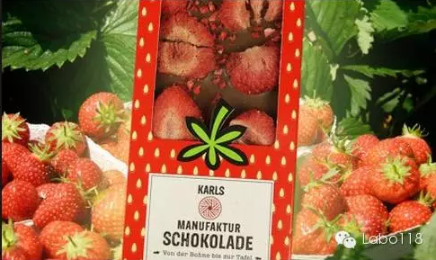 德國最成功的兒童體驗農莊：卡爾斯農莊