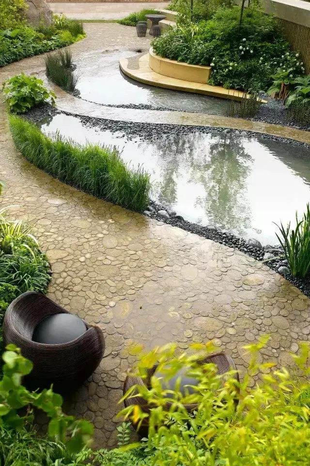 小水面的植物配置圖片集錦