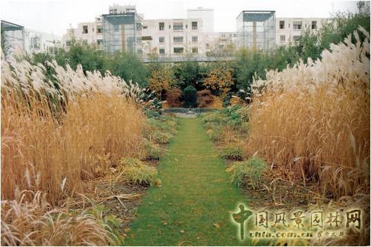 【園冶講壇】劉志成：風景園林設計的形式