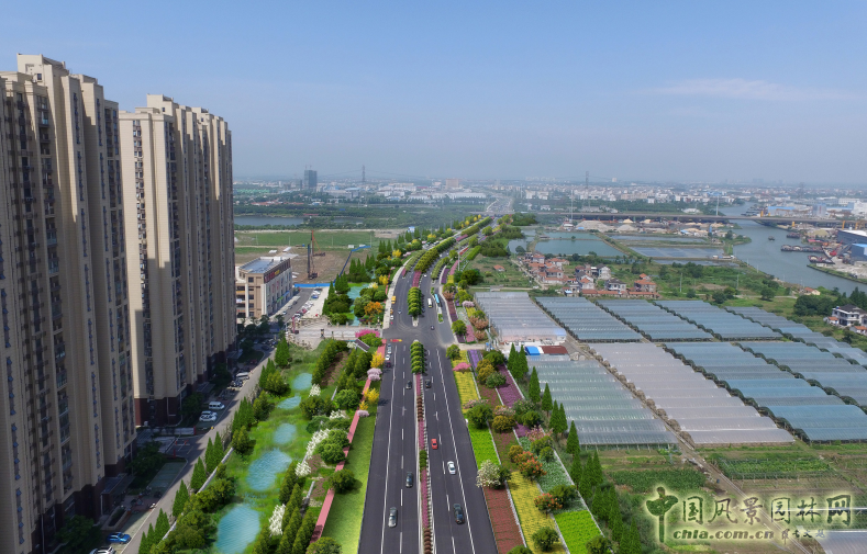 2016園冶杯：昆山市迎賓路改造工程綠化景觀工程設計