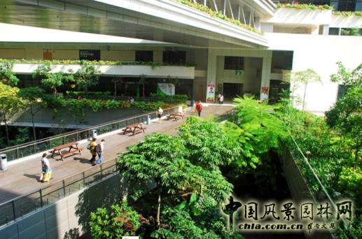 【園冶講壇】王才強:城市中的藍與綠