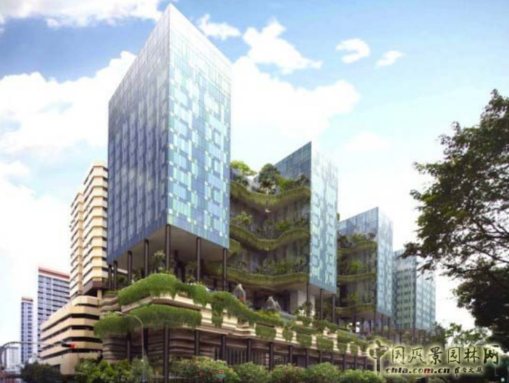 【園冶講壇】王才強(qiáng)：城市中的藍(lán)與綠