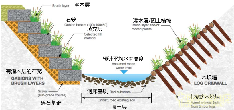 【園冶講壇】王才強(qiáng)：城市中的藍(lán)與綠