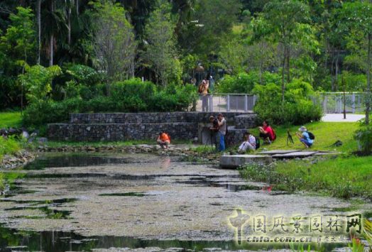 【園冶講壇】王才強(qiáng)：城市中的藍(lán)與綠